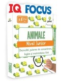 Cumpara ieftin Animale. Nivel Junior. Dezvolta puterea de concentrare, logica si motricitatea fina/***