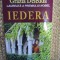 Iedera - Grazia Deledda