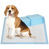 PawHut Set 80 Covoare Absorbante pentru C&acirc;ini cu 6 Straturi, Covoare Igienice pentru C&acirc;ini, 60x60 cm, Albastru | Aosom Romania
