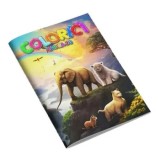 Cumpara ieftin Colorici. Cartea 30/***