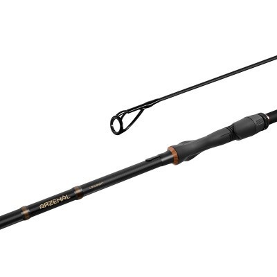 Lanseta carbon crap Delphin ARZENAL LS+ 3.85 m, 3.5 lbs, 2 tronsoane foto
