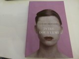 Intre doua lumi - Claudia Moscovici