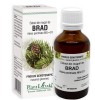 EXTRACT DIN MUGURI DE BRAD 50ML, Plantextrakt
