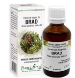 EXTRACT DIN MUGURI DE BRAD 50ML