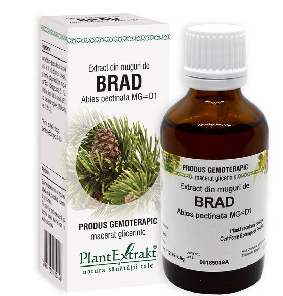 EXTRACT DIN MUGURI DE BRAD 50ML