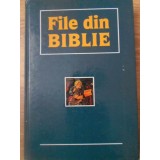 FILE DIN BIBLIE-COLECTIV-218699