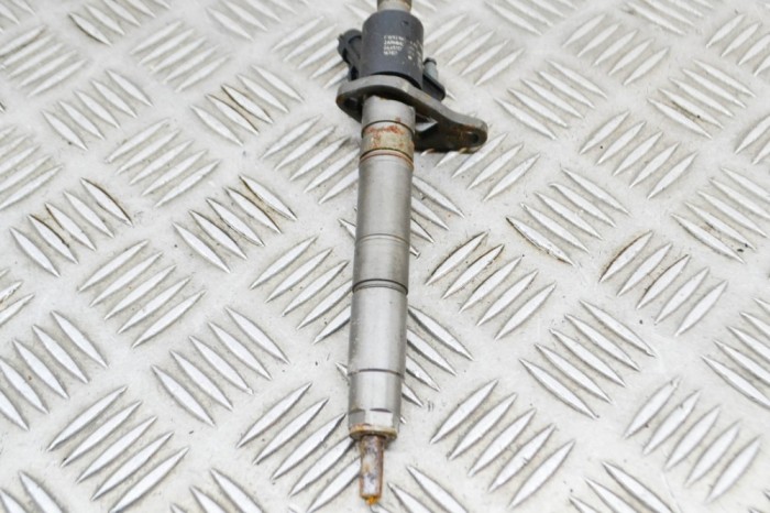 Injector de combustibil LAND ROVER RANGE ROVER SPORT II L494 2017 OEM: FW93-9K546-AB,0445117 17065556