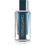 Salvatore Ferragamo Ferragamo Intense Leather Eau de Parfum pentru bărbați 50 ml