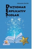 Dictionar explicativ scolar - Alexandru Emil M.