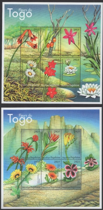 TOGO 2000 FLORI - 2 FOTO