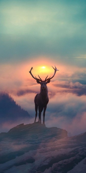 Husa Personalizata ALLVIEW P7 Pro Deer 1