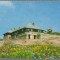CPI B14165 CARTE POSTALA - MUNTII BUCEGI. CABANA &quot;BABELE&quot;, DANTELATA