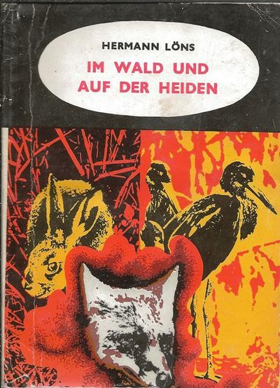 Im Wald und auf der Heiden