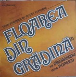 Disc vinil, LP. TINERI INTERPRETI DE MUZICA POPULARA. FLOAREA DIN GRADINA (1)-ILIE DARVAREANU, ELENA POPESC-251518, Electrecord