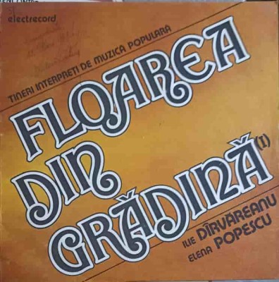 Disc vinil, LP. TINERI INTERPRETI DE MUZICA POPULARA. FLOAREA DIN GRADINA (1)-ILIE DARVAREANU, ELENA POPESC-251518 foto