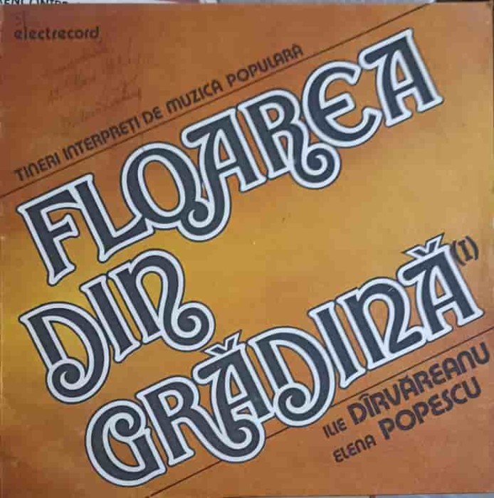 Disc vinil, LP. TINERI INTERPRETI DE MUZICA POPULARA. FLOAREA DIN GRADINA (1)-ILIE DARVAREANU, ELENA POPESC-251518