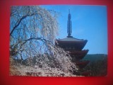 HOPCT 5243 PAGODA IN... -JAPONIA -ASIA-NECIRCULATA