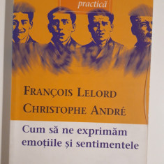 Francois Lelord Christophe Andre Cum sa ne exprimam emotiile si sentimentele