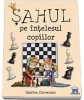 Sahul Pe Intelesul Copiilor, Sabrina Chevannes - Editura DPH