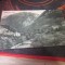 valea cernei an 1930 f1