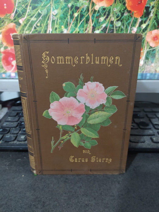 Carus Sterne, Sommerblumen, Prag, Leipzig 1884, 77 cromolitografii, 084