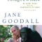 Through a Window: My Thirty Years with the Chimpanzees of Gombe