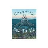 The Secret Life of a Sea Turtle