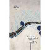 Kepler horoszk&oacute;p&iacute;r&aacute;s k&ouml;zben let&eacute;r a p&aacute;ly&aacute;j&aacute;r&oacute;l - Andr&eacute; Ferenc