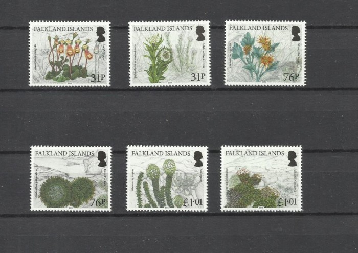 FALKLAND 2016 PLANTE