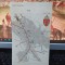 Iași, Oradea, planul municipiilor cu stemă, color, circa 1930, 109