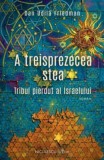 A treisprezecea stea. Tribul pierdut al Israelului, Niculescu