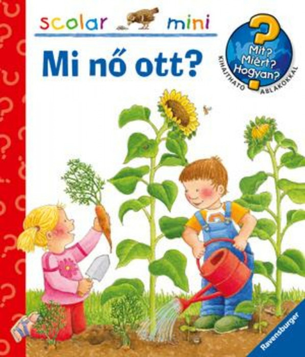 Mi nő ott? - Mit? Mi&eacute;rt? Hogyan? Scolar mini 17. - Constanza Droop