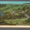 CPIB 20887 - CARTE POSTALA - DARTMEET, DARTMOOR, MAREA BRITANIE, COTMAN CODOR