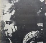 Vinil Alexandru Andries-Azi