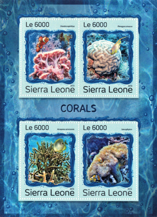 SIERRA LEONE 2016 - Fauna marina, corali /set compl MNH - colita + bloc
