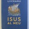 ISUS AL MEU , de GABRIEL LIICEANU , 2020