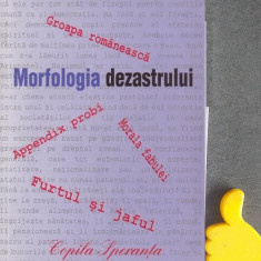 Morfologia dezastrului Mihai Gramatopol