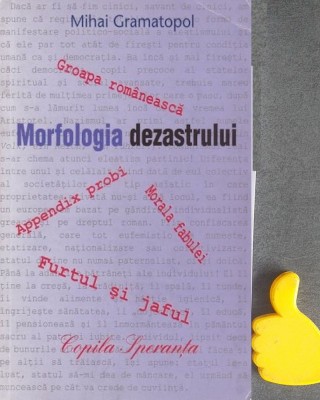 Morfologia dezastrului Mihai Gramatopol foto
