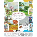 Set planse Anotimpurile, format A4