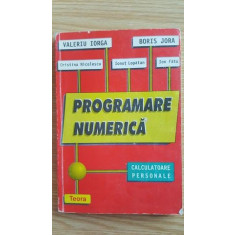 Programare numerica. Calculatoare personale- V.Iorga, B.Jora, C.Nicolescu