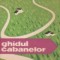 Ghidul cabanelor (Editie 1962, Gh. Epuran)