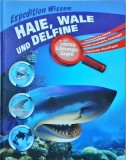 Expedition Wissen. Haie, Wale und Delfine