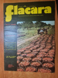 Flacara 14 septembrie 1974-articol satu mare si suceava