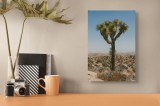 Tablou Canvas Peisaj Arid Natură Solitar Exotic Magnific, 26 x 39 cm, CMCLASS