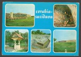 CPIB 19257 CARTE POSTALA - CORABIA-SUCIDAVA, MOZAIC, Circulata, Fotografie