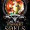 Ravaged Souls