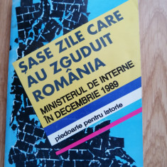 Sase zile care au zguduit Romania. Pledoarie pentru istorie, vol.1, I. Pitulescu