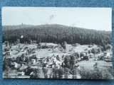 396 - Poiana Tapului, Vedere spre Zamora / cp RPR circulata 1965, Necirculata, Fotografie