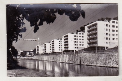 bnk cp Cluj - Cartierul Dragalina - necirculata foto