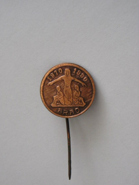 QW9 I 18 - insigna - tematica comunism - ARAD 1970 - 1990